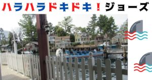 投稿についてもっと詳しく ハラハラドキドキ！ジョーズ