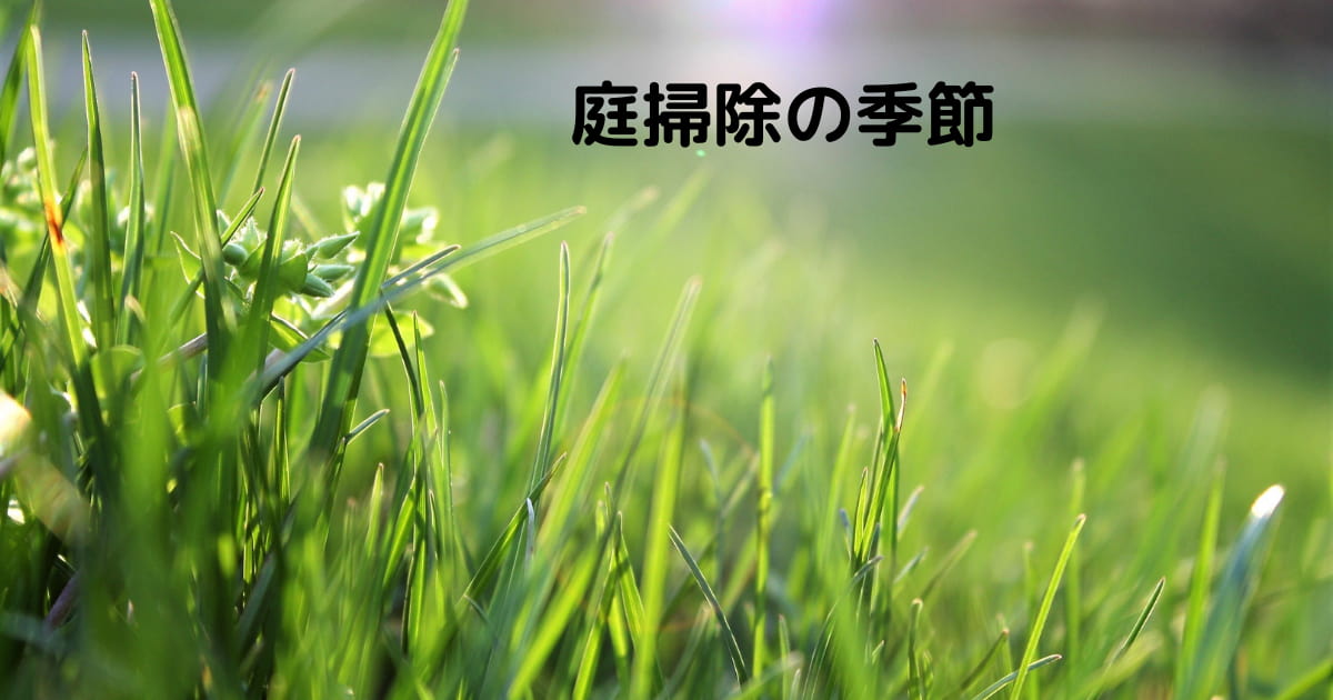 あなたが現在見ているのは 庭掃除の季節