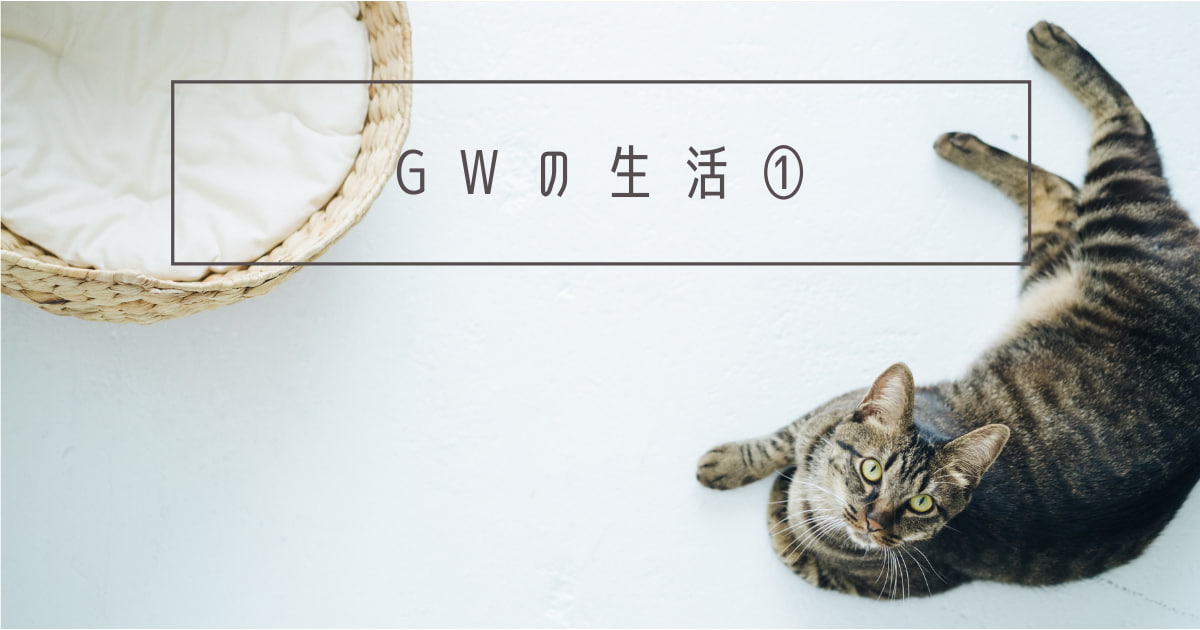 あなたが現在見ているのは GWの生活①