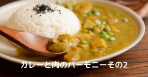 投稿についてもっと詳しく カレーと肉のハーモニーその２