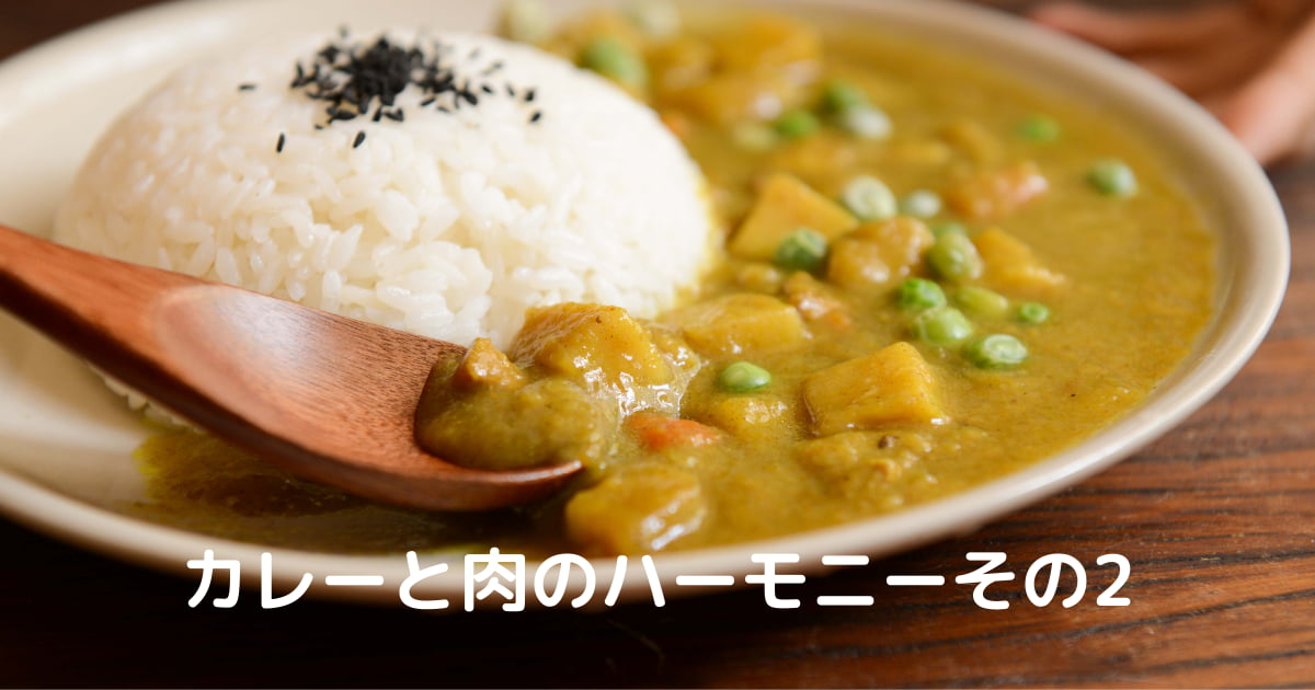 あなたが現在見ているのは カレーと肉のハーモニーその２