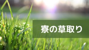 投稿についてもっと詳しく 寮の草取り