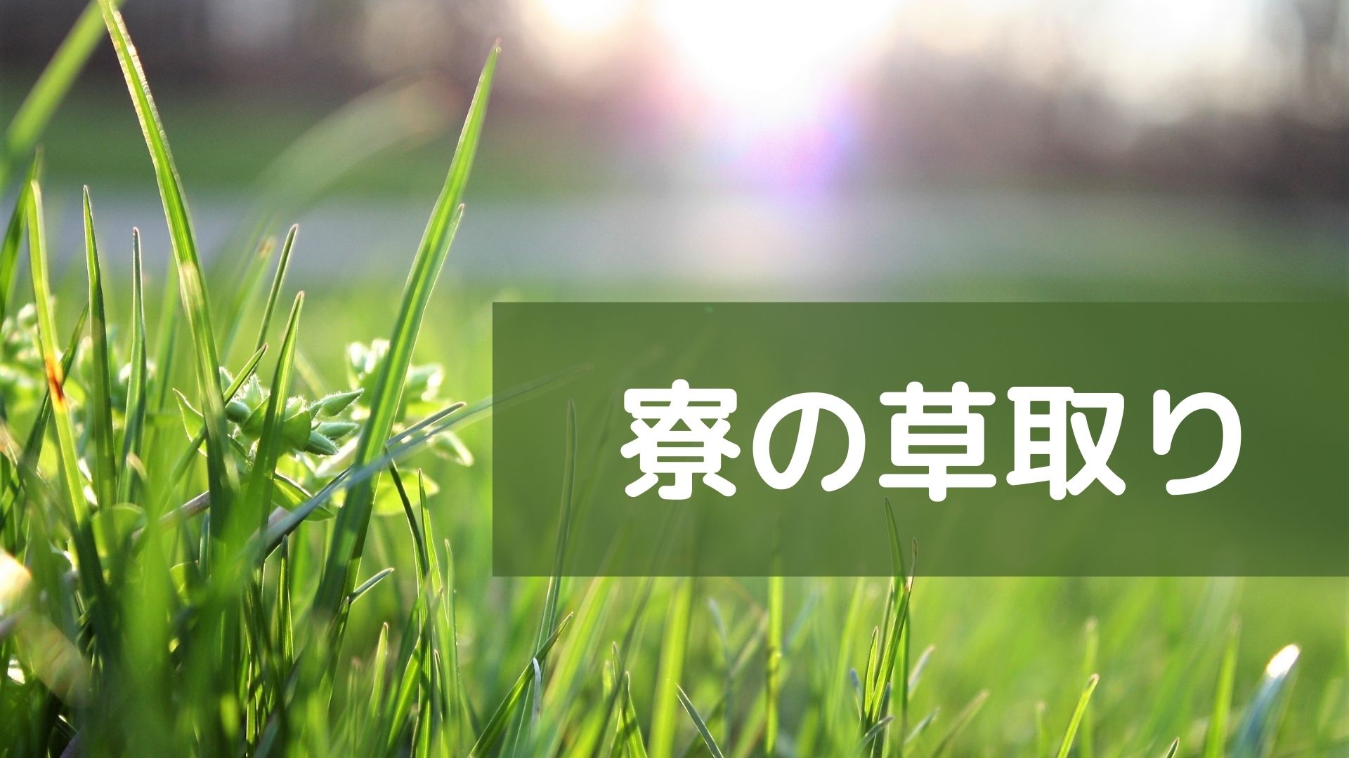 あなたが現在見ているのは 寮の草取り