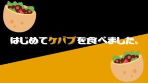 投稿についてもっと詳しく はじめてケバブを食べました。