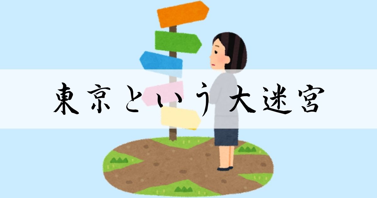 あなたが現在見ているのは 東京という大迷宮