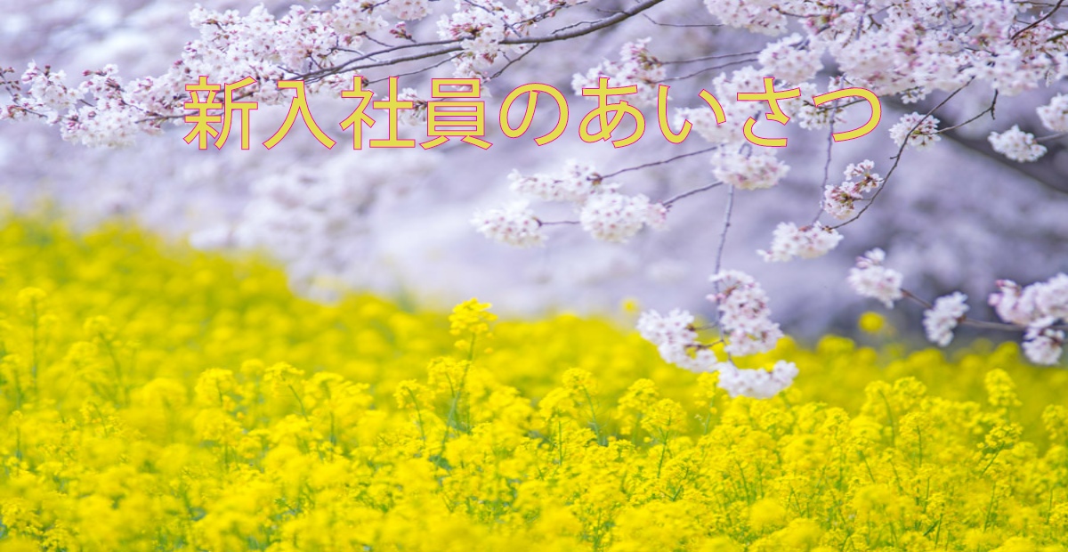 あなたが現在見ているのは 新入社員のあいさつ