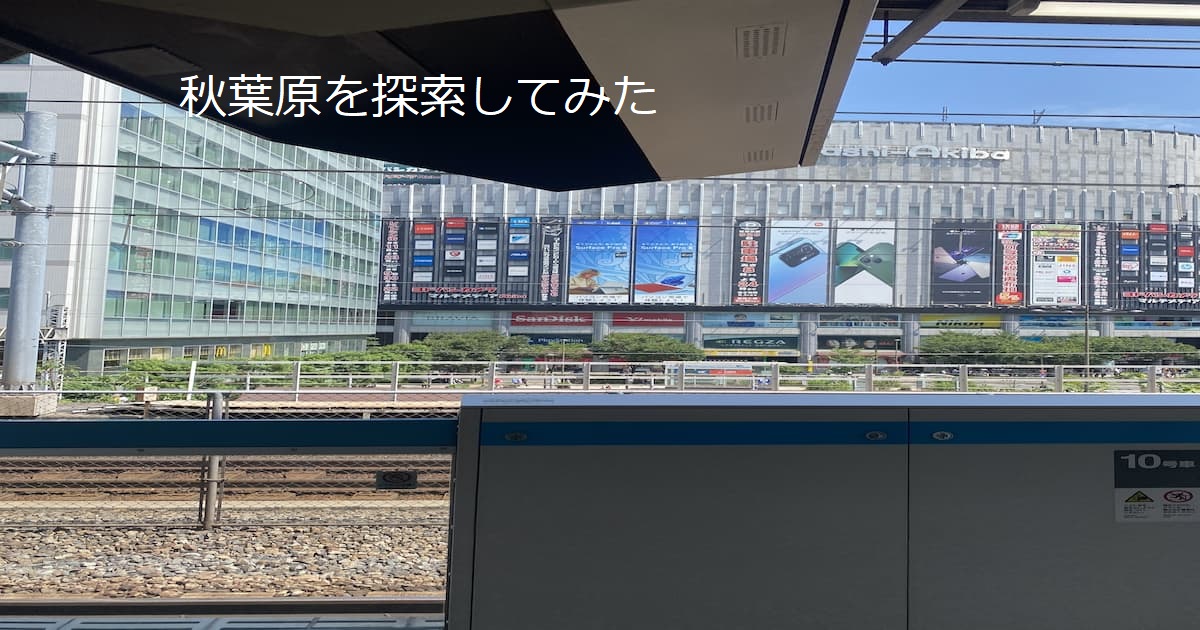 あなたが現在見ているのは 秋葉原を探索してみた