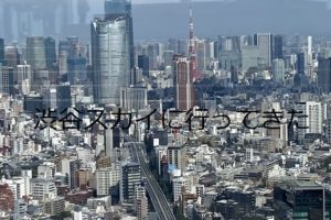 投稿についてもっと詳しく 渋谷スカイに行ってきた