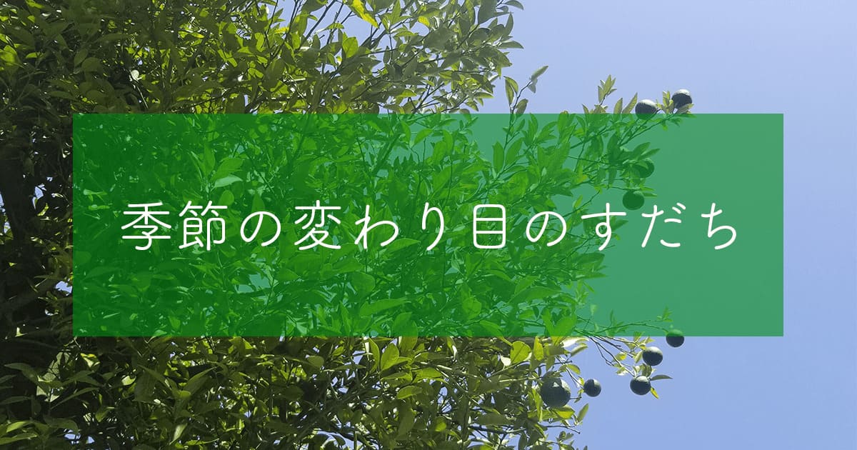 あなたが現在見ているのは 季節の変わり目のすだち