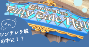 投稿についてもっと詳しく あのシンデレラ城の中へ！