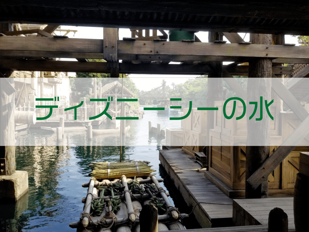 あなたが現在見ているのは ディズニーシーの水