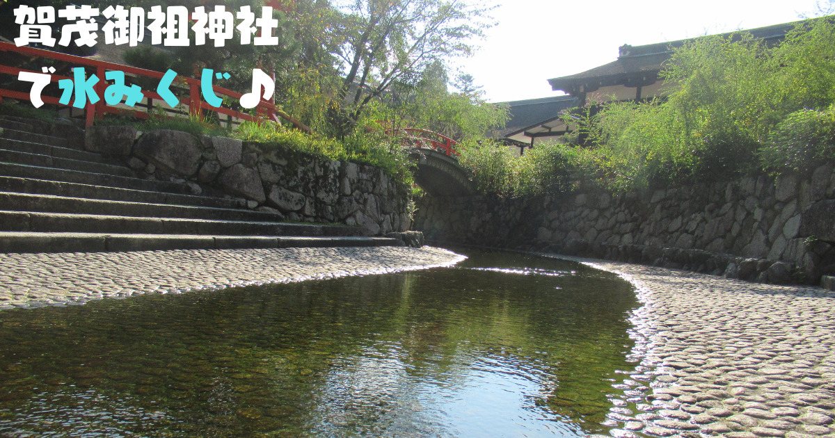あなたが現在見ているのは 賀茂御祖神社で水みくじ♪