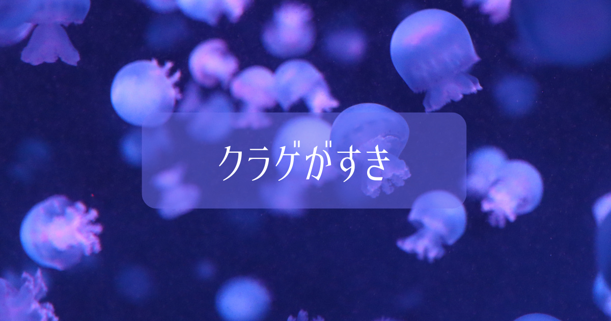あなたが現在見ているのは クラゲがすき
