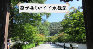 投稿についてもっと詳しく 庭が美しい！！永観堂