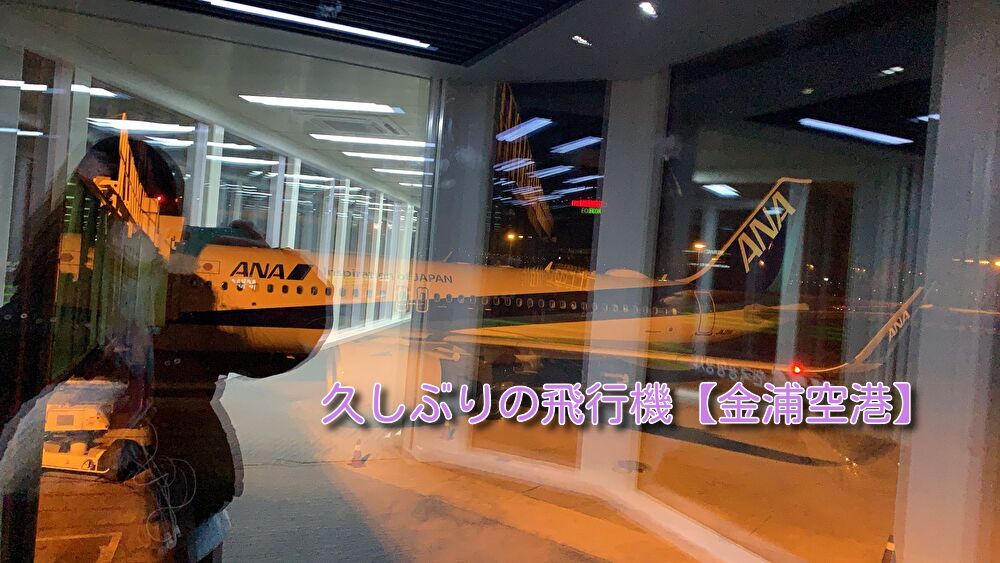 あなたが現在見ているのは 久しぶりの飛行機と【金浦空港】