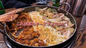 投稿についてもっと詳しく これがあのチーズタッカルビ！