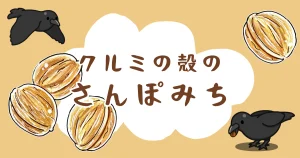 投稿についてもっと詳しく クルミの殻のさんぽみち