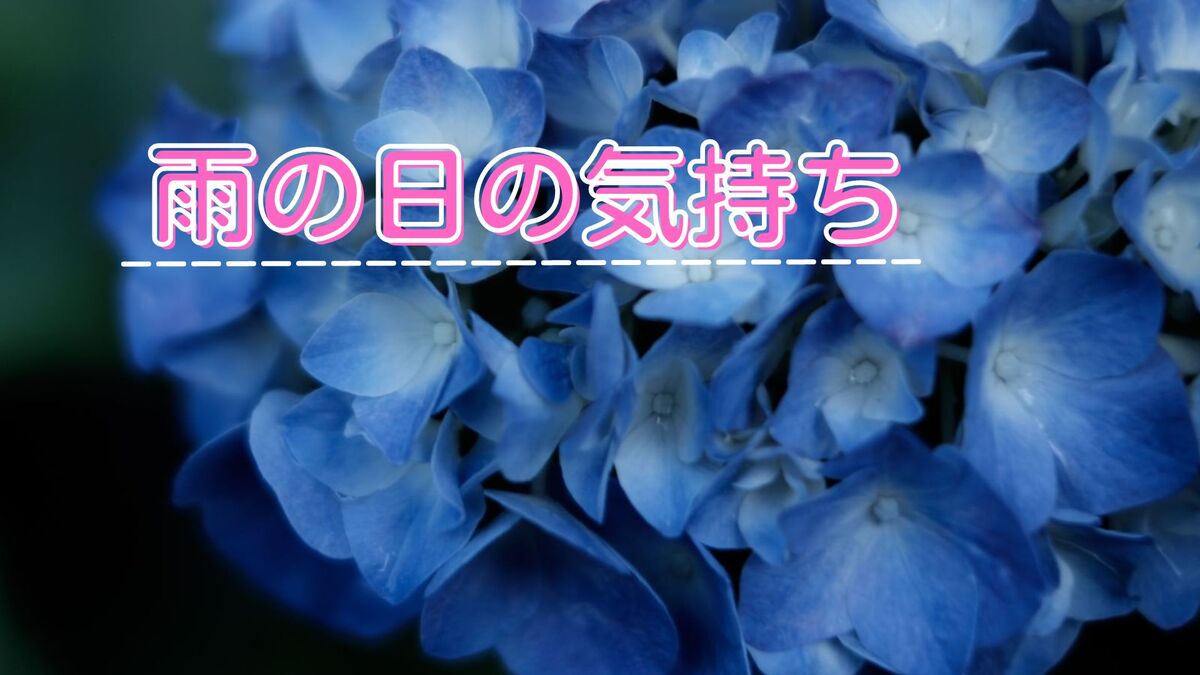 あなたが現在見ているのは 雨の日の気持ち