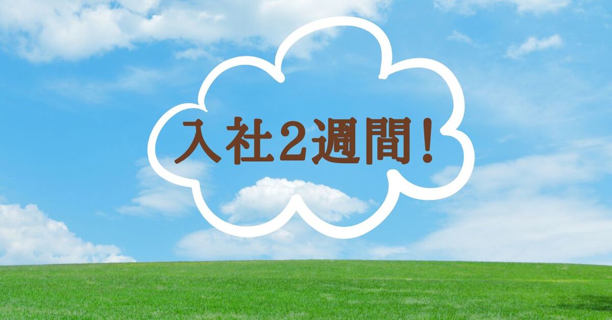 あなたが現在見ているのは 入社2週間！