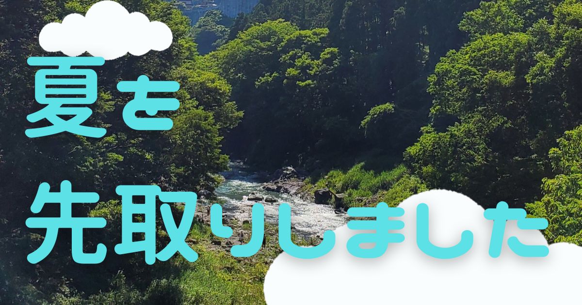 あなたが現在見ているのは 夏を先取りしました🎐