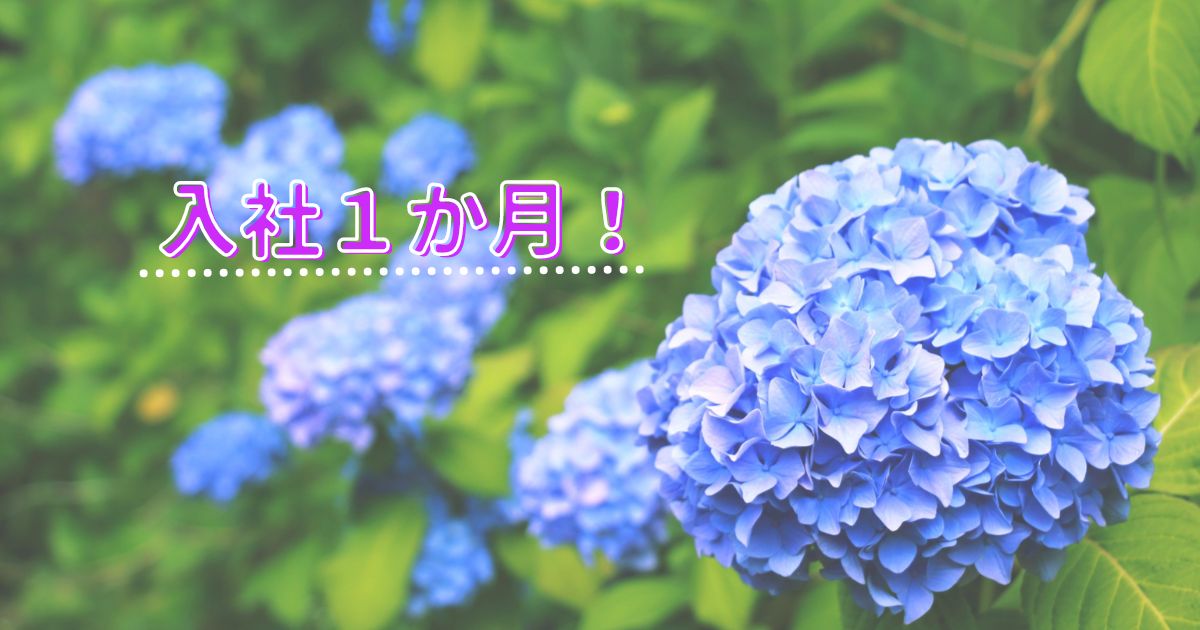 あなたが現在見ているのは 入社１か月！