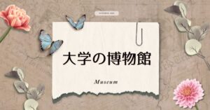 投稿についてもっと詳しく 大学の博物館