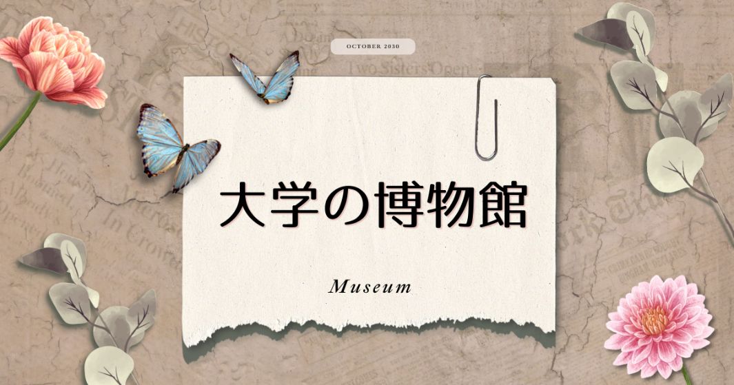 あなたが現在見ているのは 大学の博物館
