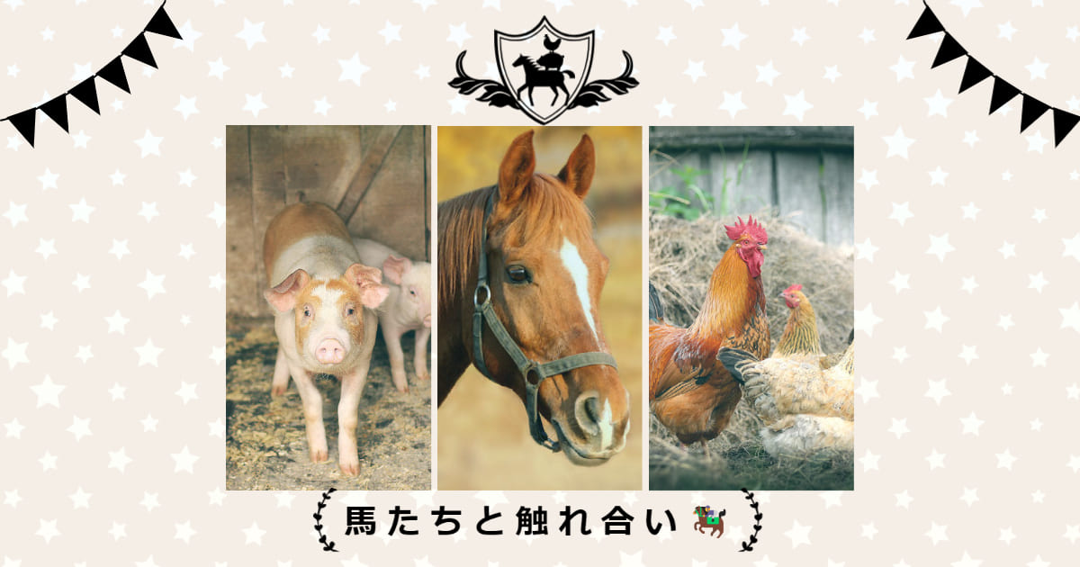 あなたが現在見ているのは 馬たちと触れ合い🏇