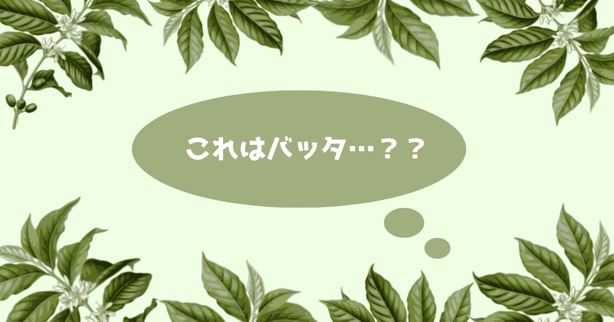 あなたが現在見ているのは これはバッタ…？？