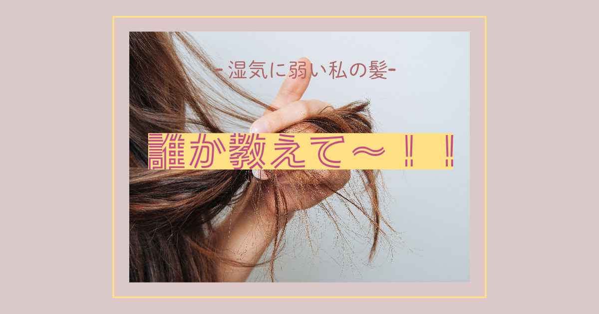 あなたが現在見ているのは 誰か教えて～！！