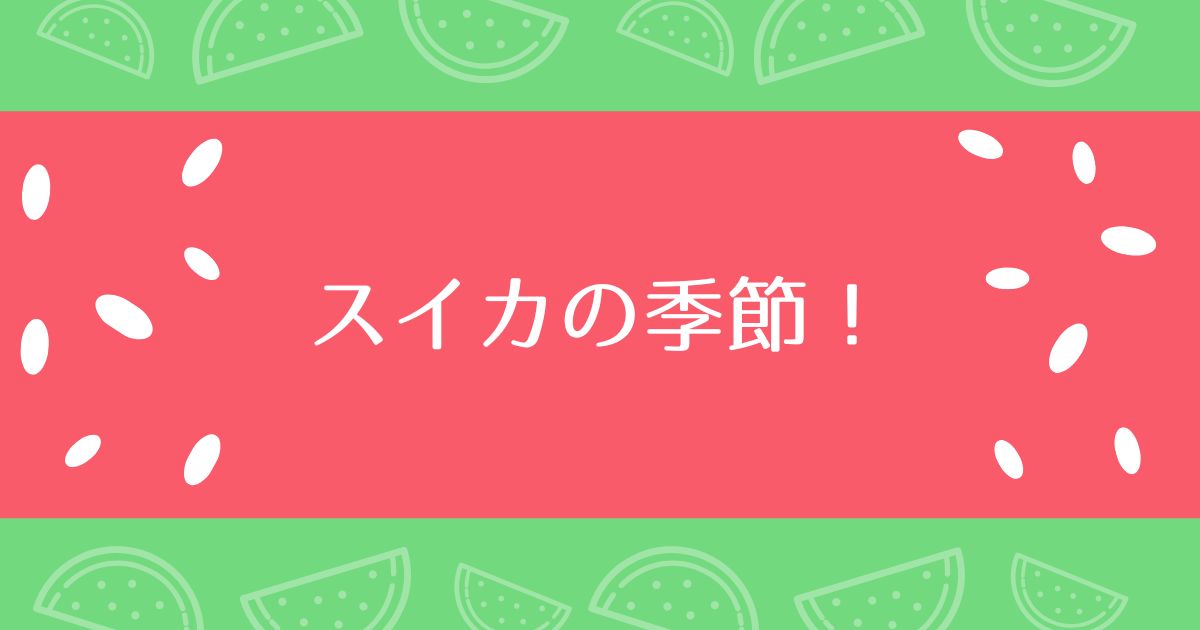 あなたが現在見ているのは スイカの季節！