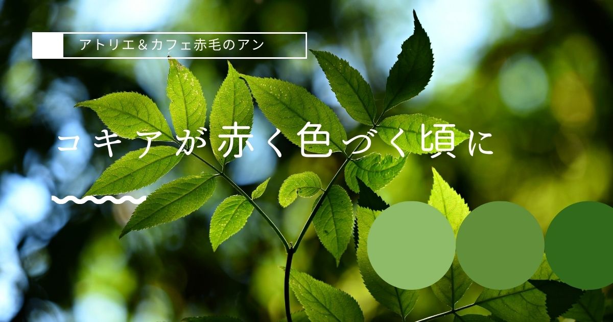 あなたが現在見ているのは コキアが赤く色づく頃に