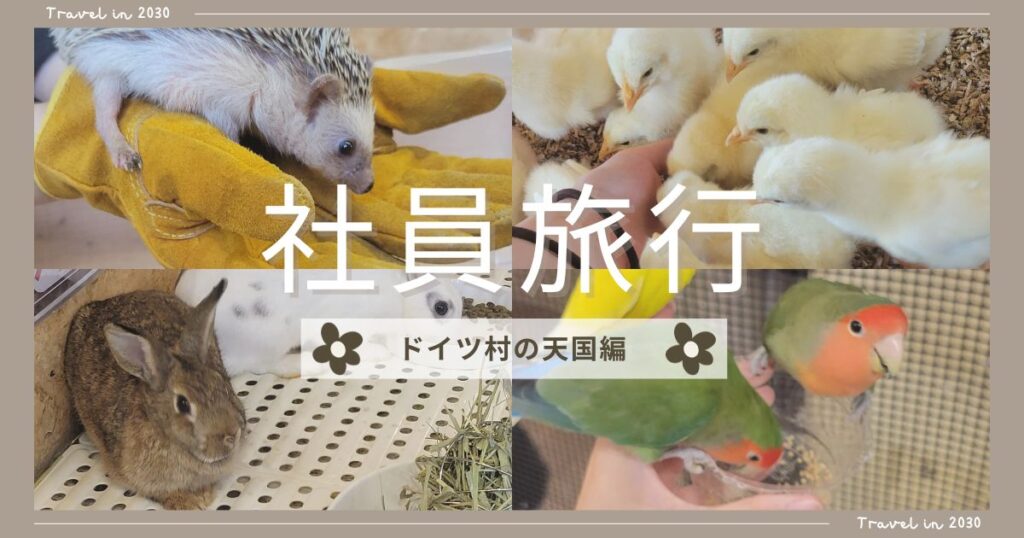 投稿についてもっと詳しく 社員旅行～ドイツ村の天国編～