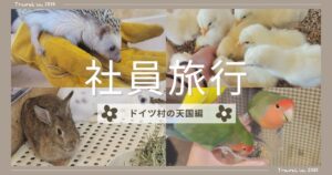 投稿についてもっと詳しく 社員旅行～ドイツ村の天国編～