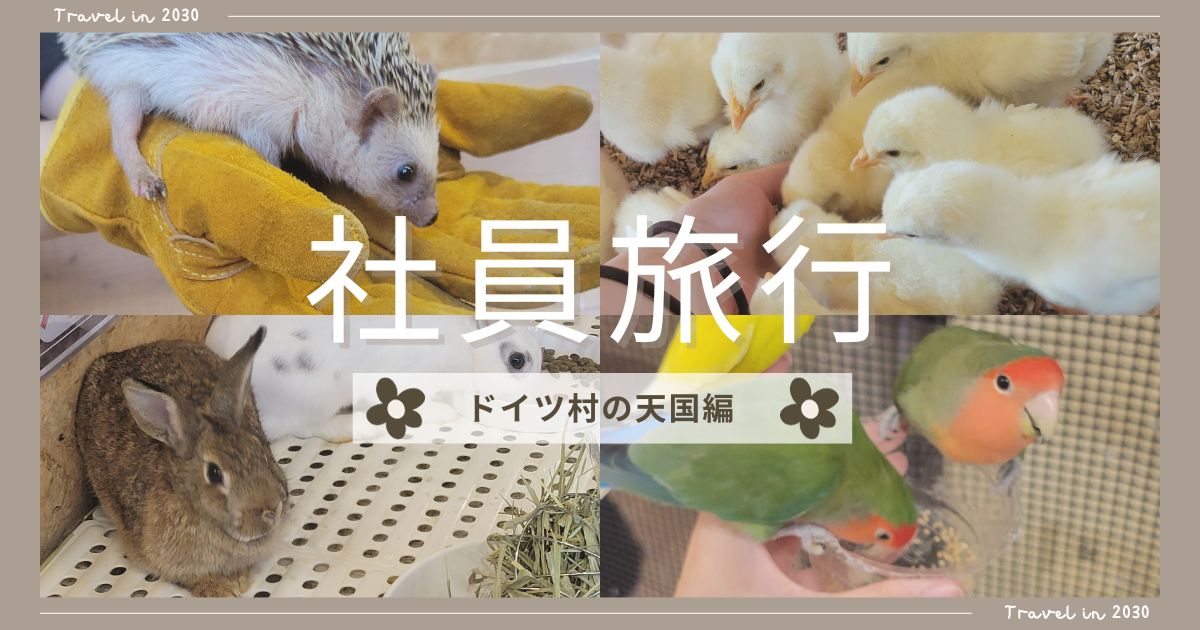 あなたが現在見ているのは 社員旅行～ドイツ村の天国編～