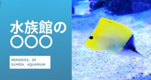 投稿についてもっと詳しく 水族館の〇〇〇