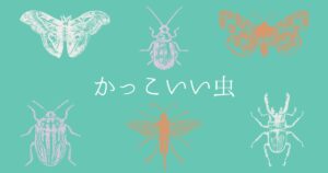 投稿についてもっと詳しく かっこいい虫