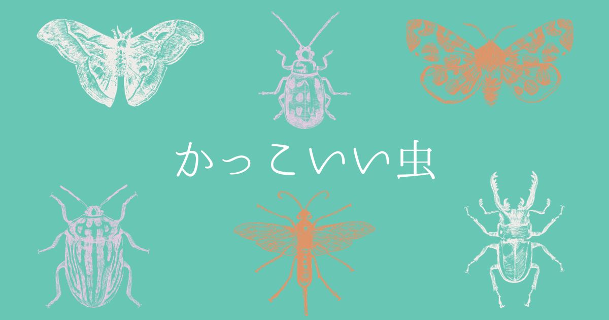 あなたが現在見ているのは かっこいい虫