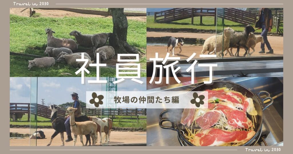 投稿についてもっと詳しく 社員旅行～牧場の仲間たち編～