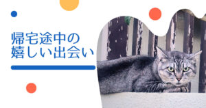 投稿についてもっと詳しく 帰宅途中の嬉しい出会い