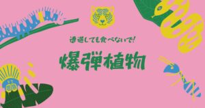 投稿についてもっと詳しく 爆弾植物
