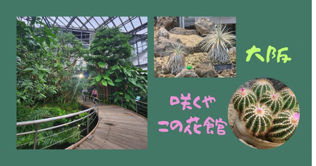 投稿についてもっと詳しく 11月の関西出張編　咲くやこの花館