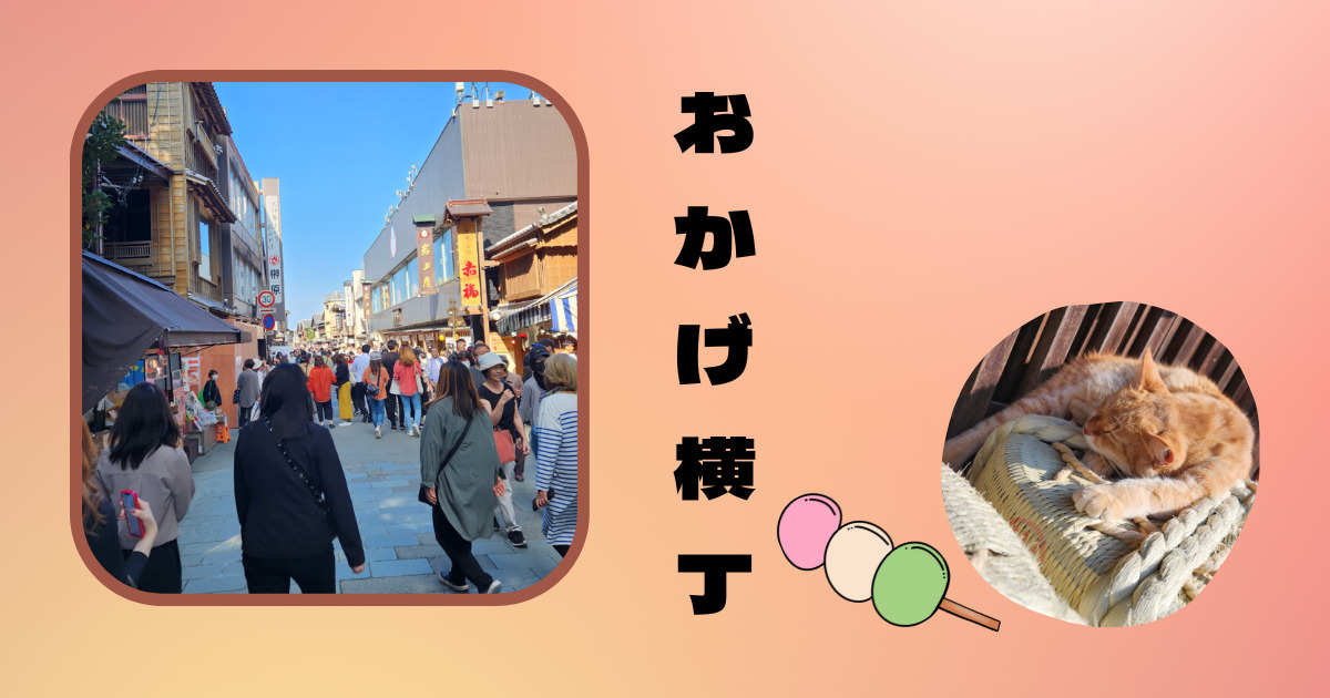 あなたが現在見ているのは 10月の関西出張編　おかげ横丁
