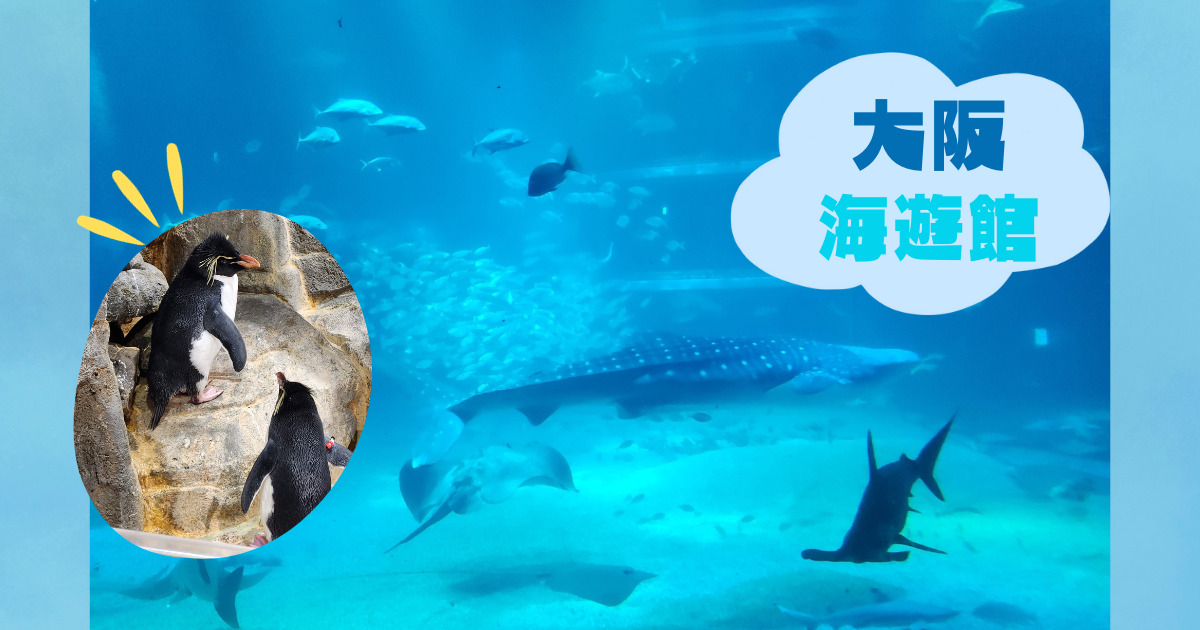 あなたが現在見ているのは 11月の関西出張編　海遊館