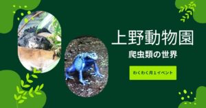 投稿についてもっと詳しく 上野動物園③爬虫類の世界