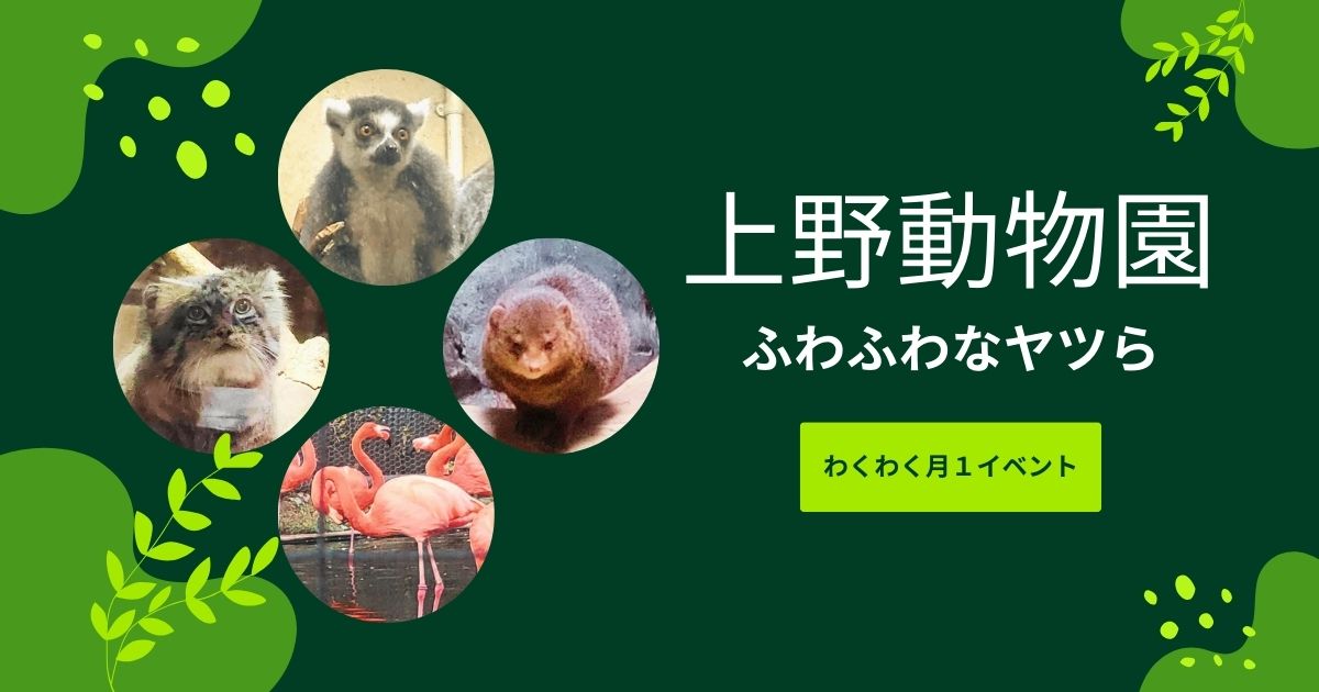 あなたが現在見ているのは 上野動物園②ふわふわなヤツら