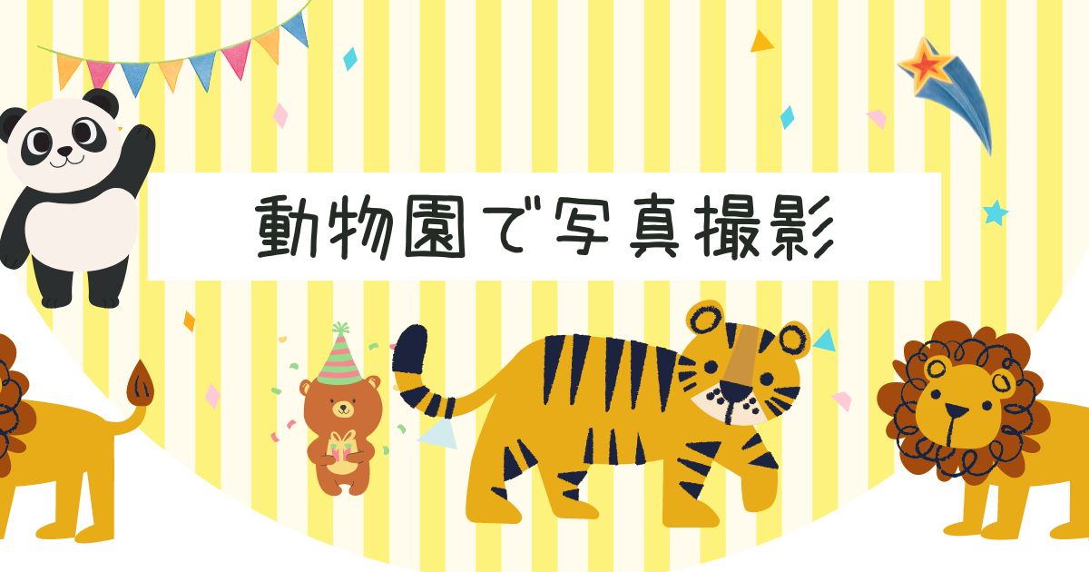 あなたが現在見ているのは 動物園で写真撮影