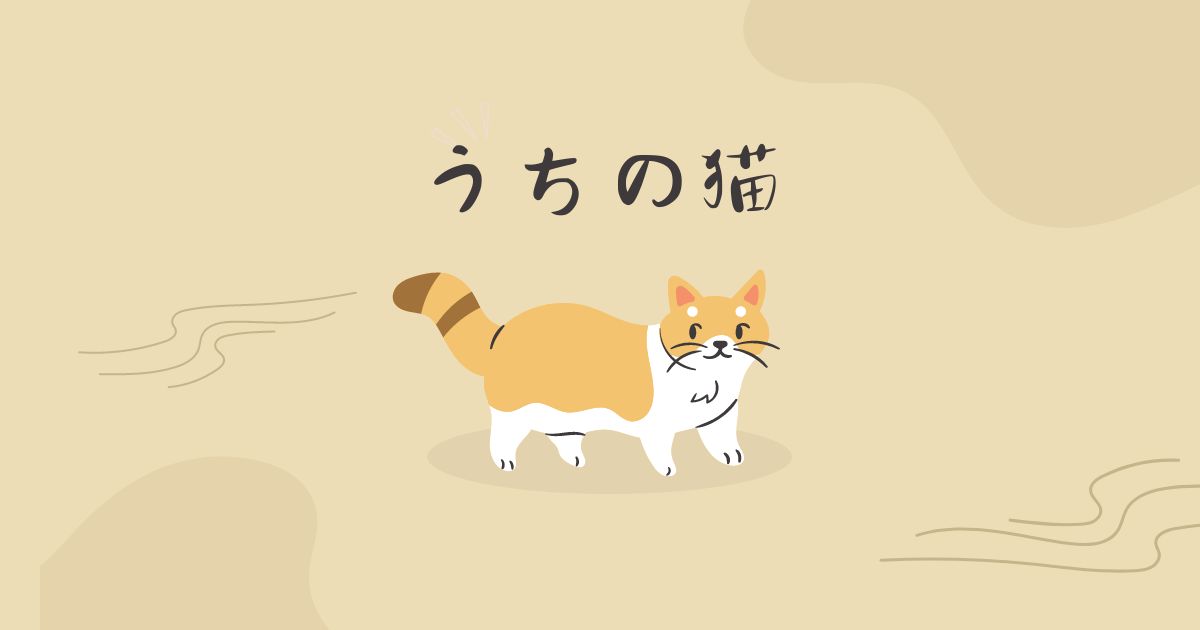 あなたが現在見ているのは うちの猫