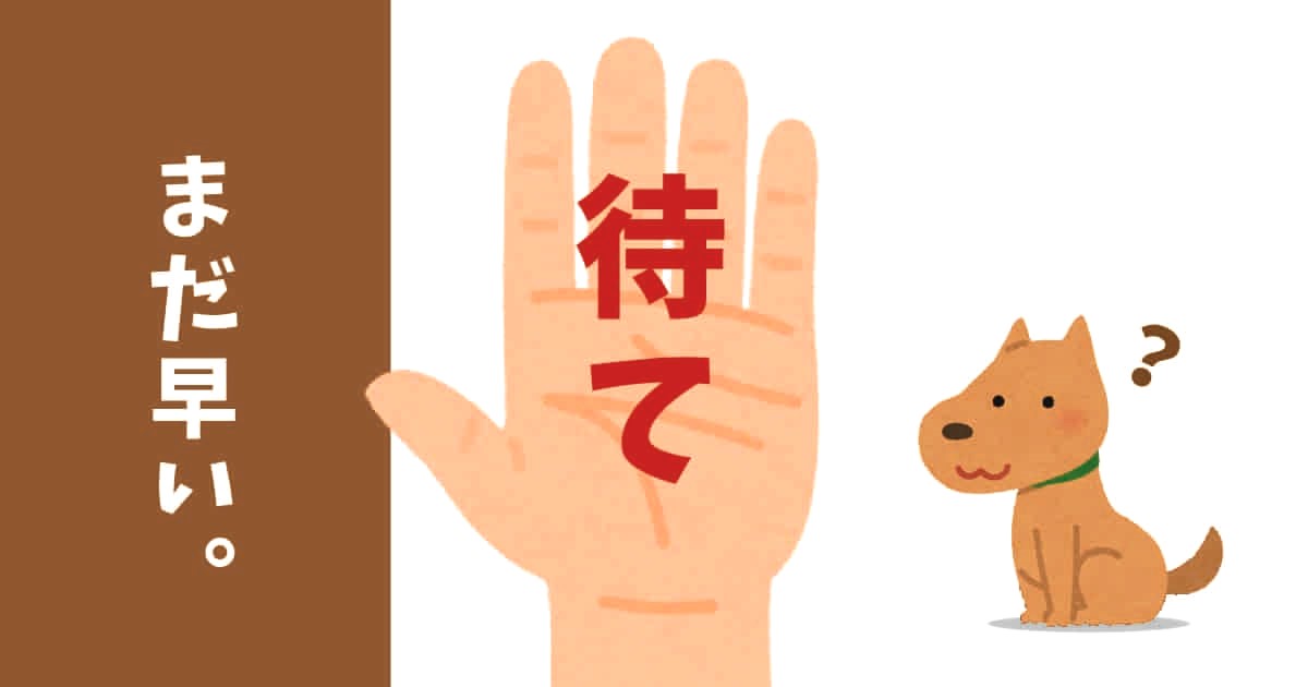 あなたが現在見ているのは 待て、まだ早い。