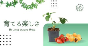 投稿についてもっと詳しく 育てる楽しさ